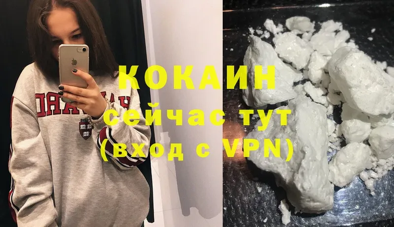 КОКАИН 98%  ОМГ ОМГ зеркало  Петропавловск-Камчатский 